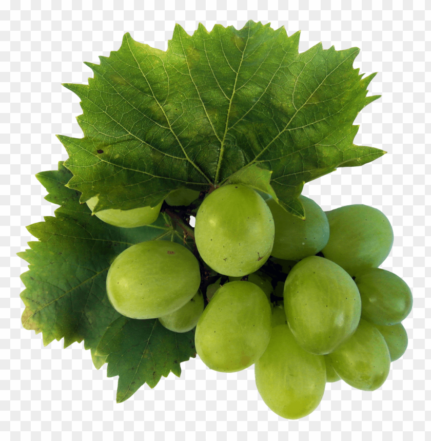 fruits, green grapes