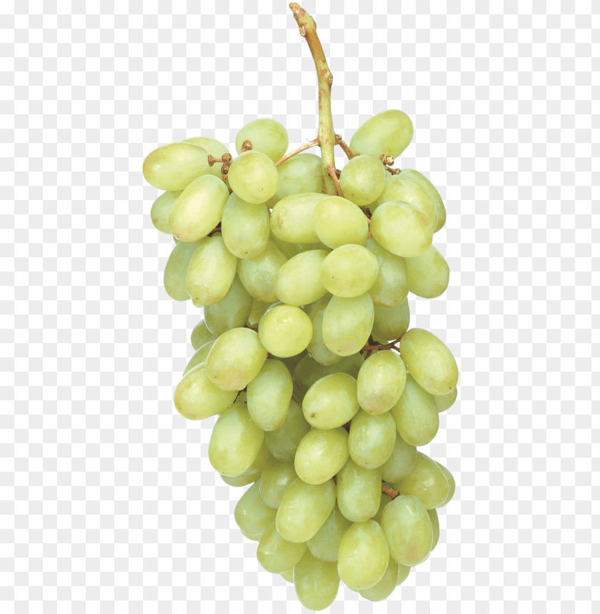 
grape
, 
berry
, 
grapes
, 
fruit
, 
green grapes
