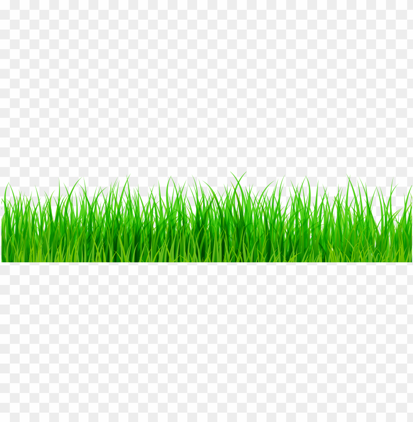 Download Green Grass Clipart Png Photo Toppng