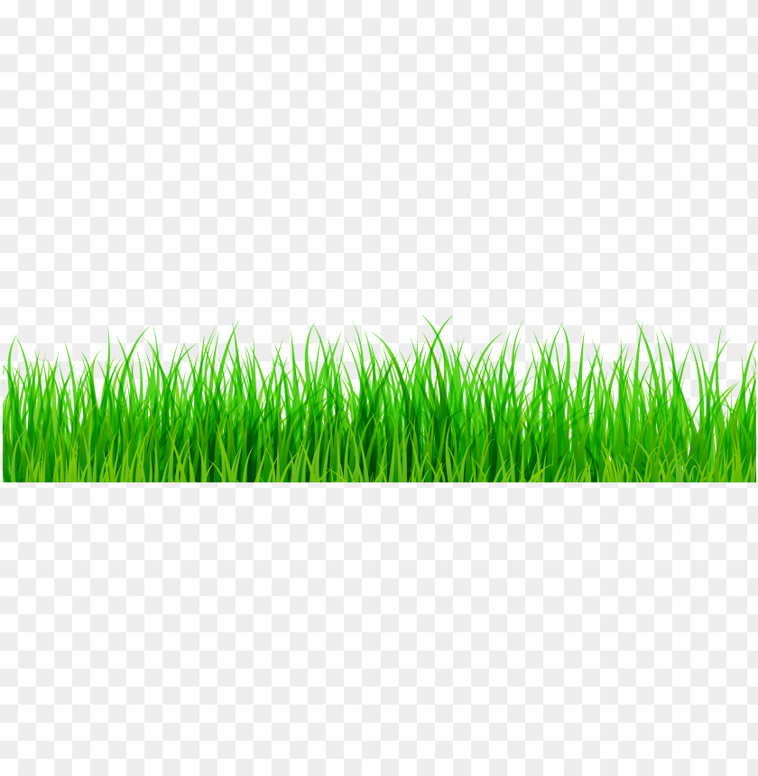 green grass clipart png