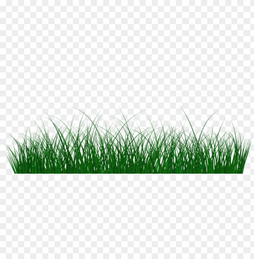Download green grass png images background | TOPpng