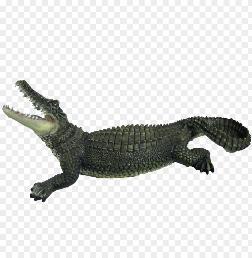 
crocodile
 , 
green
, 
animal
