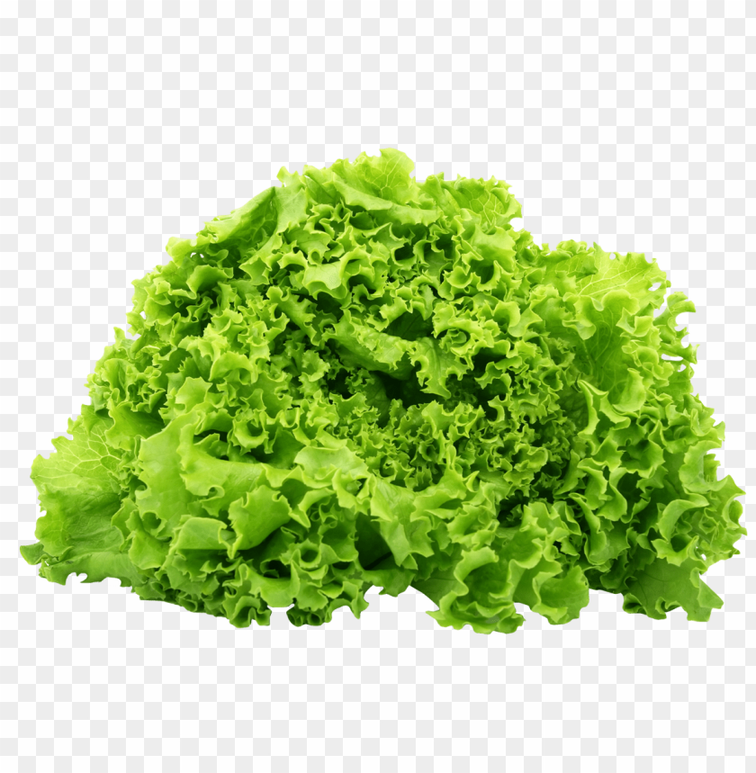 
vegetables
, 
salad
, 
lettuce
, 
spinach
, 
leaves
, 
leafs
, 
green lettuce
