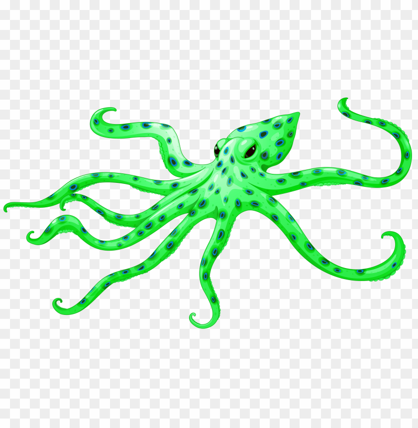 green, octopus