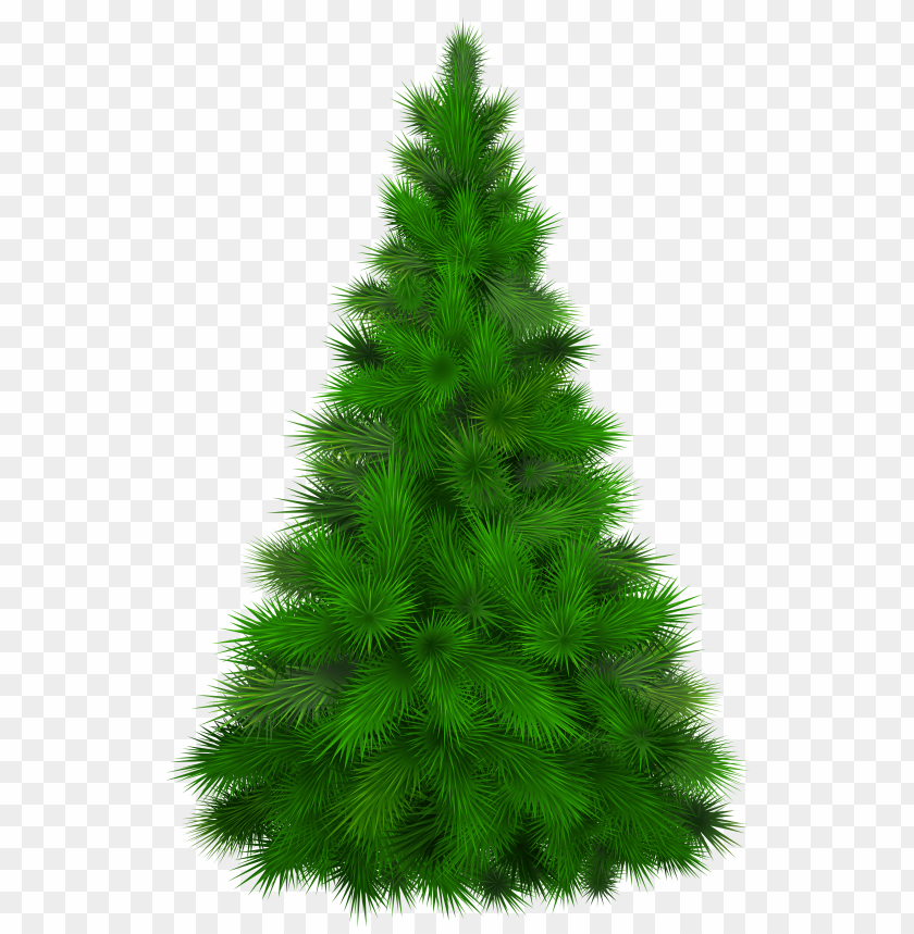 art, clip, green, pine, tree