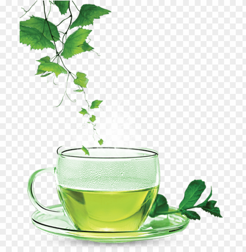 green,tea,drinks,شاي أخضر
