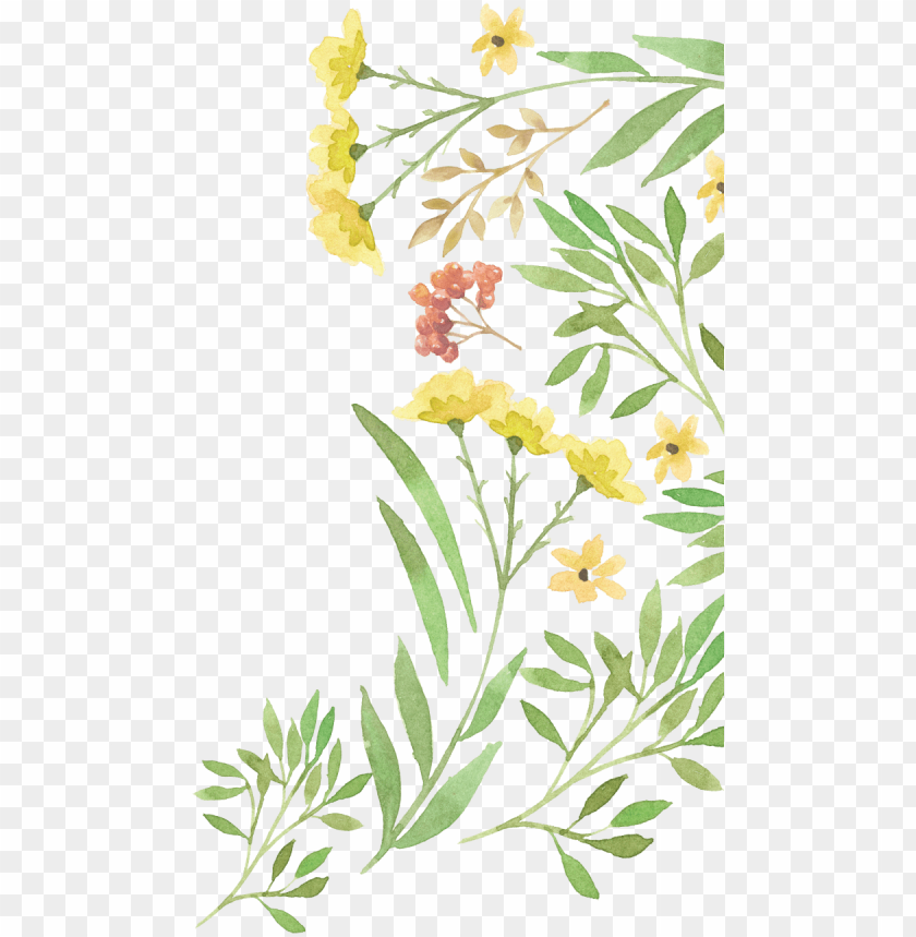 free PNG green watercolour  flower PNG image with transparent background PNG images transparent