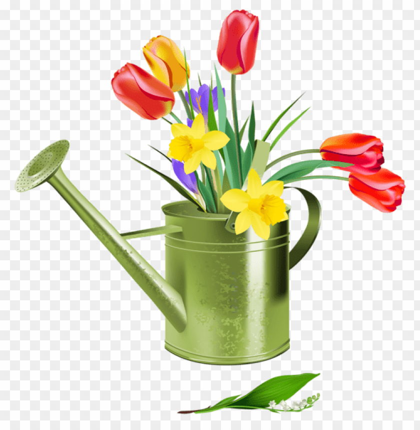 flowers, flowers png, spring png, flower png