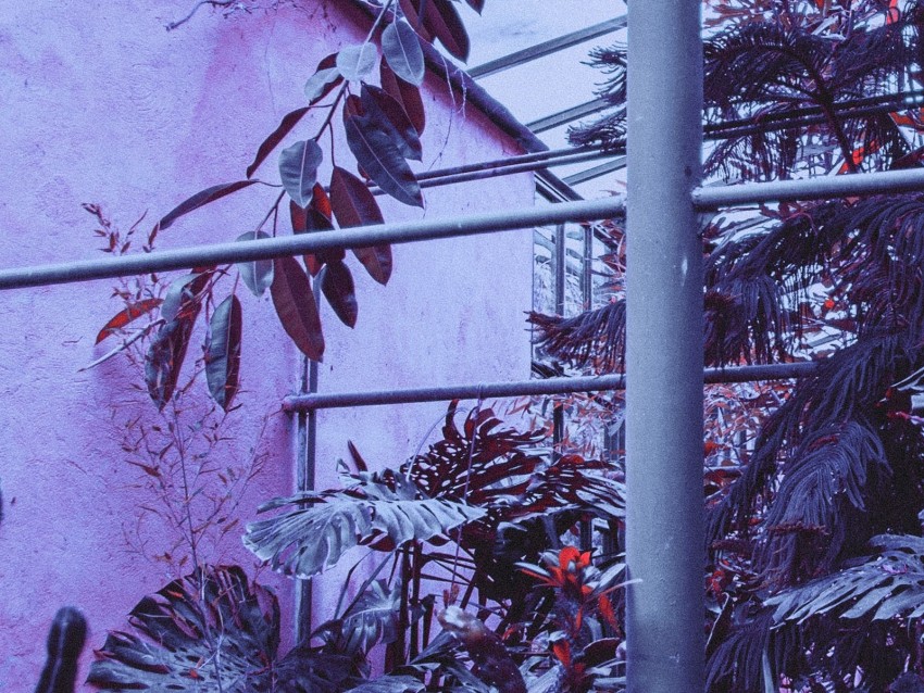 greenhouse, plants, exotic, construction, metal