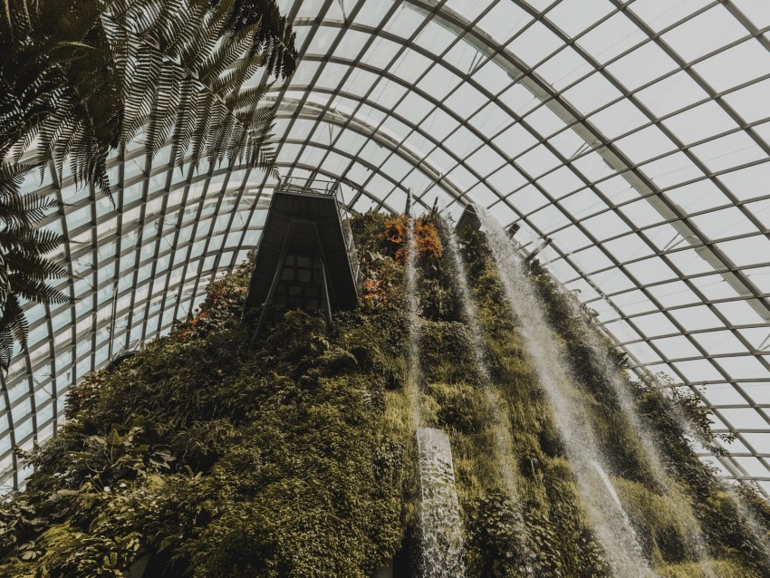 greenhouse, plants, waterfall, construction