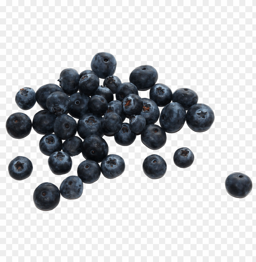 fruits, blueberries, berry, berries, blueberry