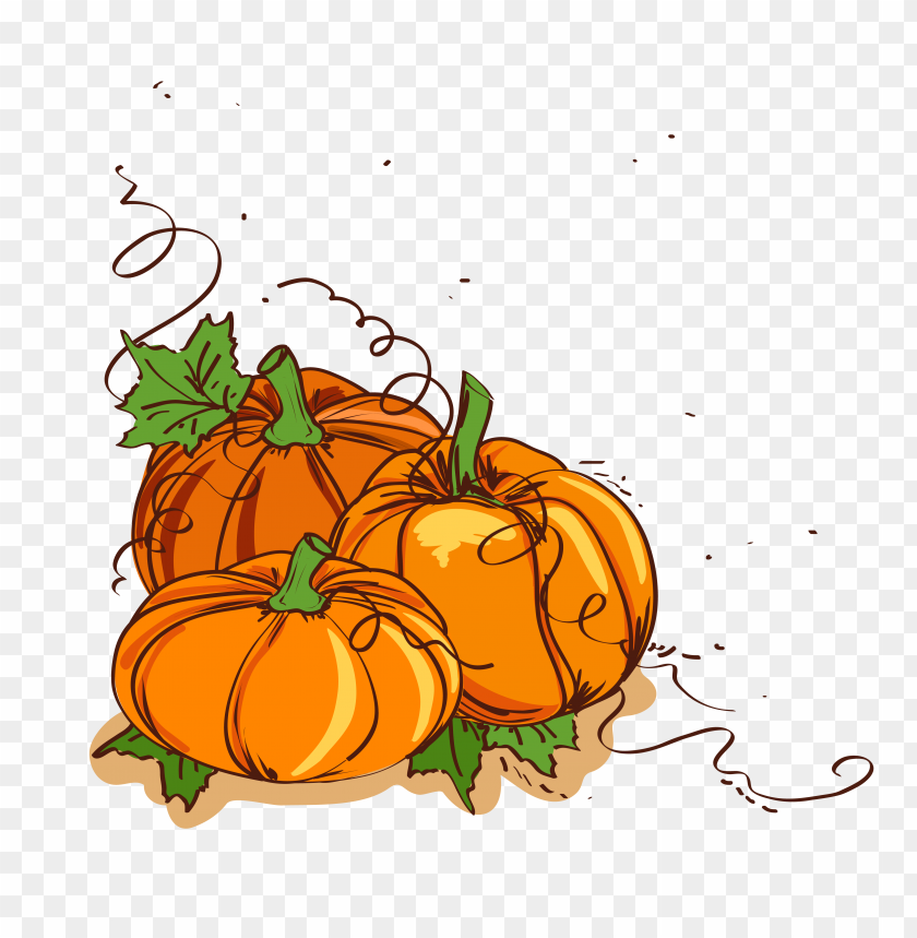 free PNG group of pumpkins with leaves vector clipart PNG image with transparent background PNG images transparent