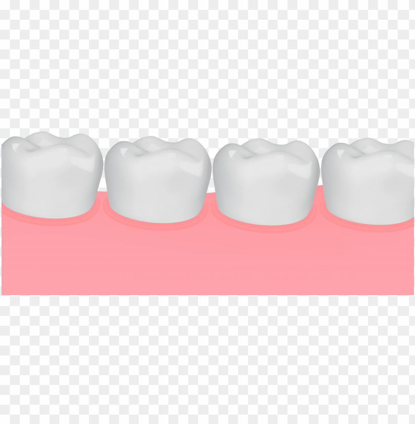 gum, teeth