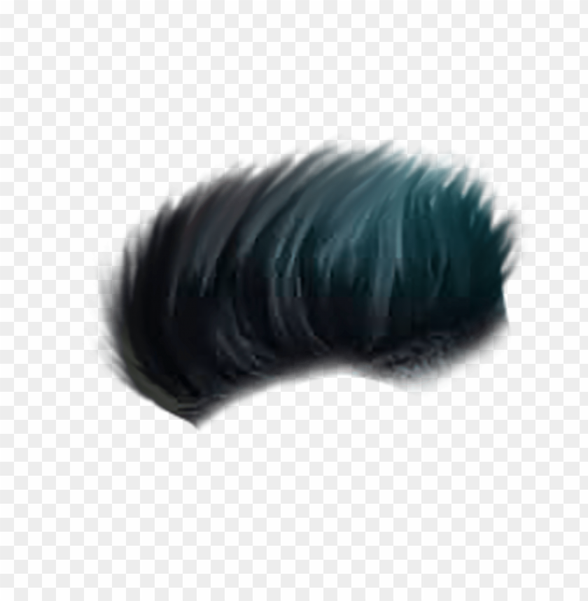 hair png - Free PNG Images | TOPpng