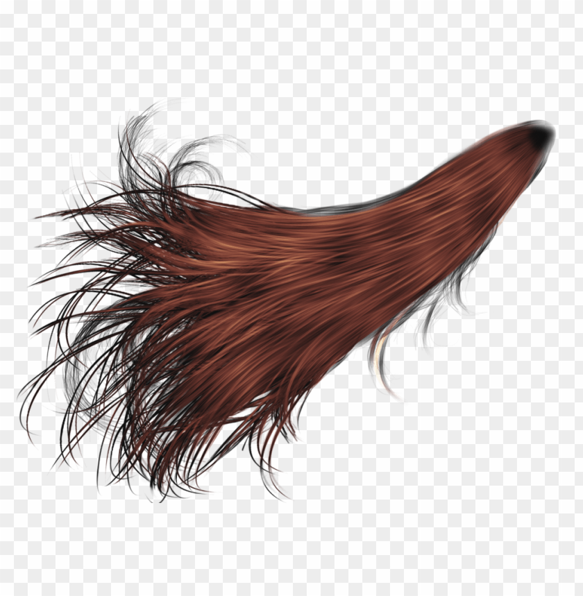 hair png - Free PNG Images | TOPpng