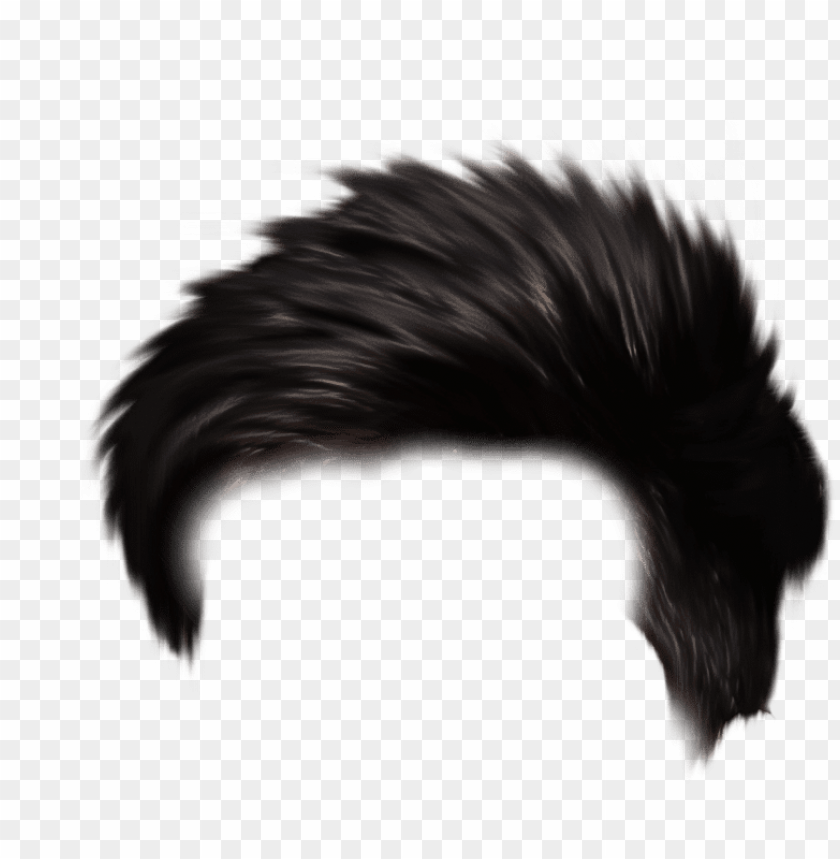 hair PNG image with transparent background | TOPpng