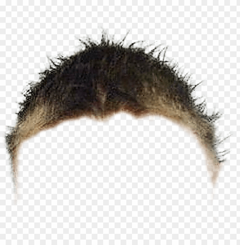 Hair Brendan Fraser Just Hair Png Image With Transparent Background Toppng - giorno giovanna roblox hair