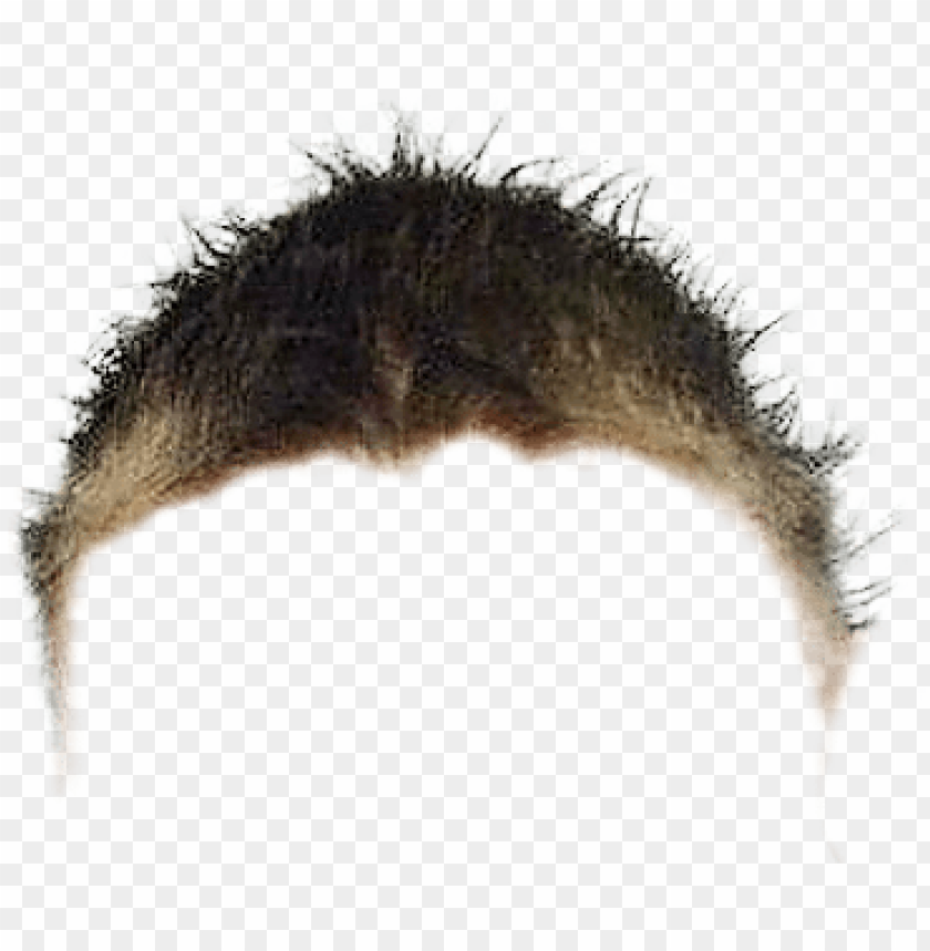 Roblox Bacon Hair Transparent, HD Png Download - 1200x675 PNG 