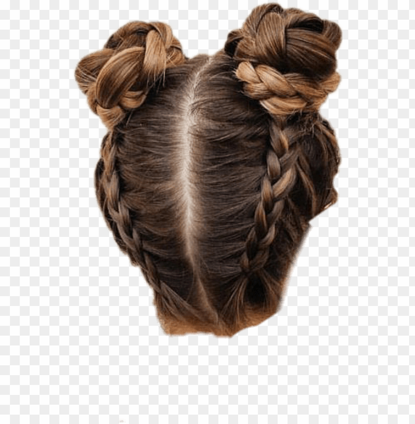 Hair Bun Buns Braid Braids Hairstyle Updo Hairdo Bun Hairstyles Png Image With Transparent Background Toppng