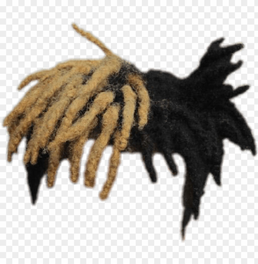 hair png anime - cabello de xxxtentacion PNG image with transparent  background | TOPpng