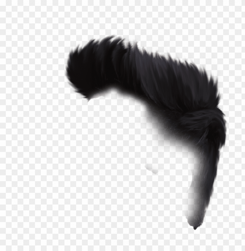 hair png - caterpillar PNG image with transparent background | TOPpng