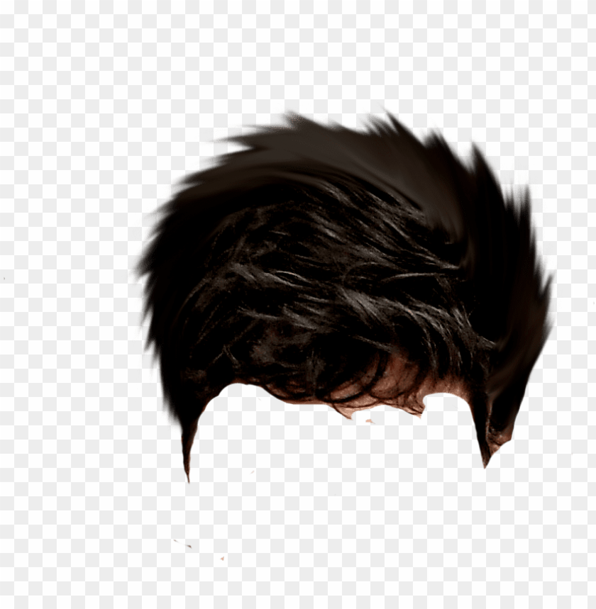 Roblox Bacon Hair Transparent, HD Png Download - 1200x675 PNG 