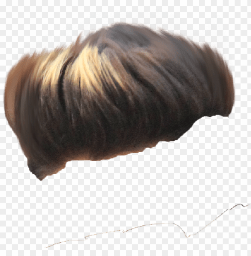 hair png ➤ download - bu PNG image with transparent background | TOPpng