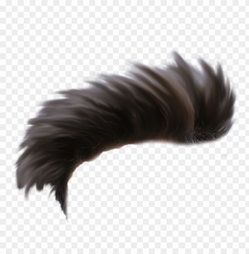 Hair Png Download Cb Edit 15 August Background Png Image With Transparent Background Toppng