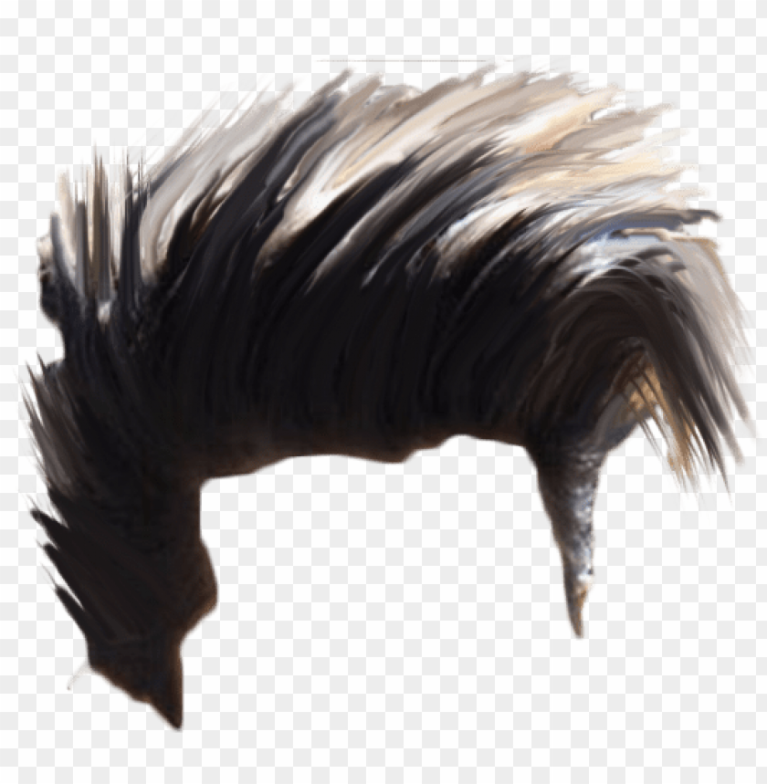 hair png download hd quality - picsart photo studio PNG image with  transparent background | TOPpng