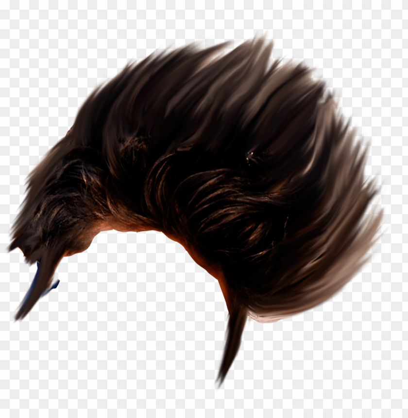 Download hair png - image editi png - Free PNG Images | TOPpng
