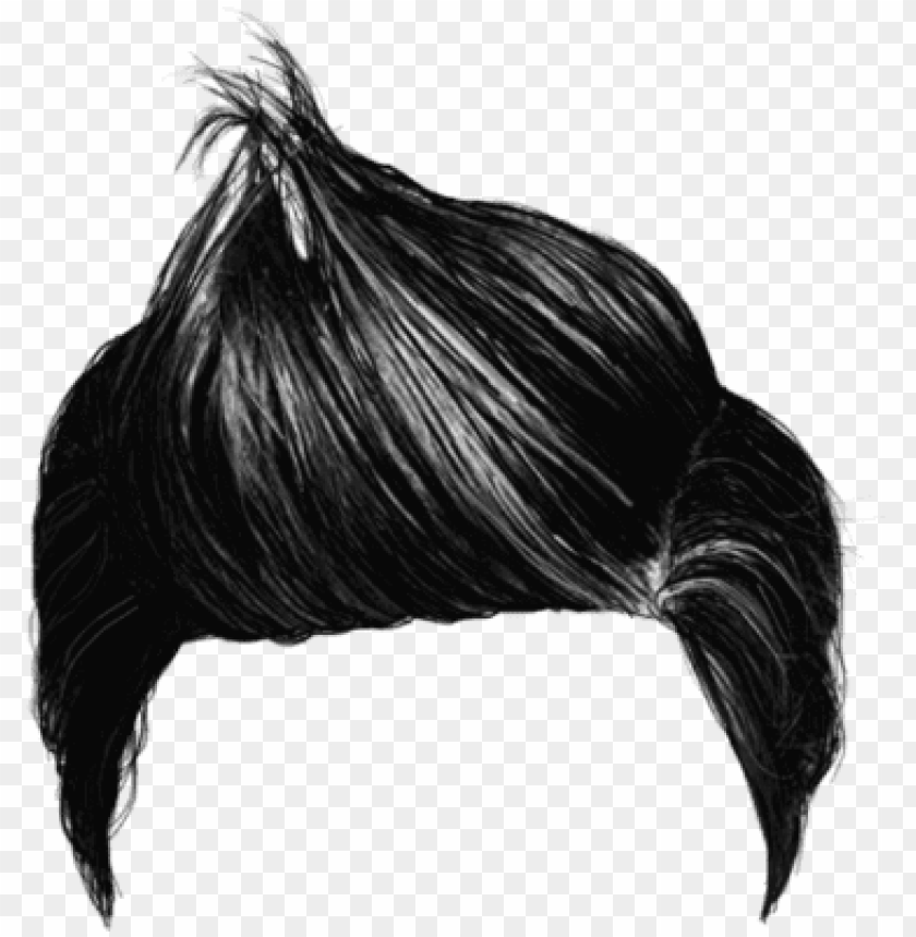 hair png men - black hair png boy PNG image with transparent background |  TOPpng