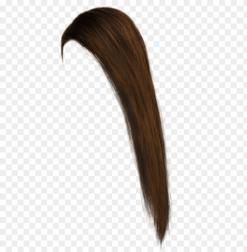 Free Roblox Hair Brown PNG Transparent With Clear Background ID