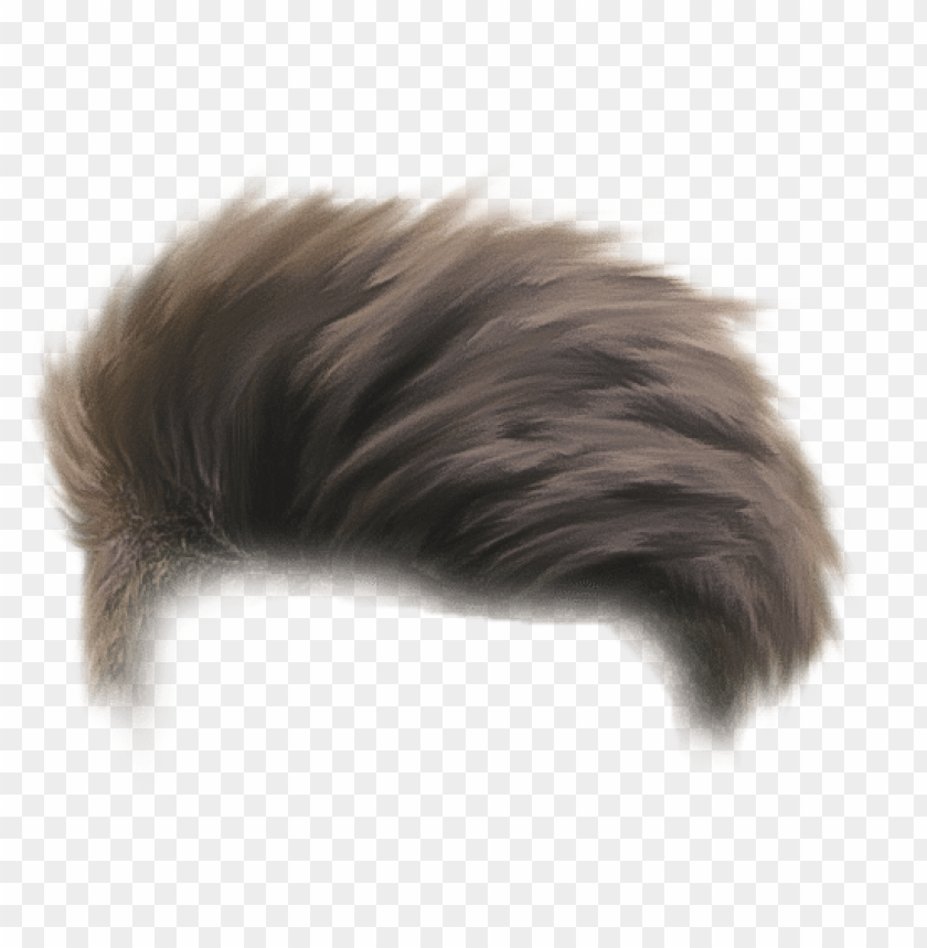 hair png - picsart photo studio PNG image with transparent background |  TOPpng