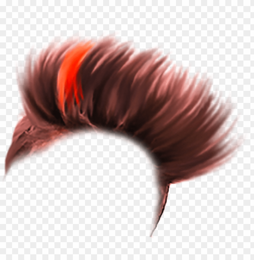 hair style PNG image with transparent background | TOPpng