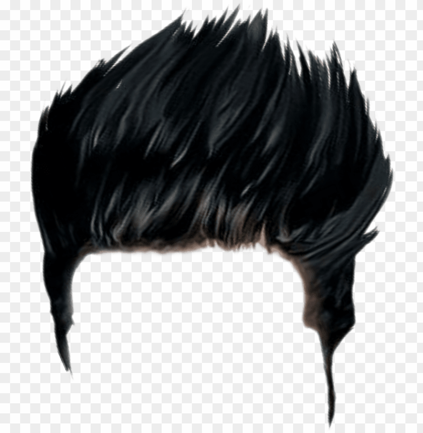 Cartoon Hairstyle PNG Transparent Images Free Download | Vector Files |  Pngtree