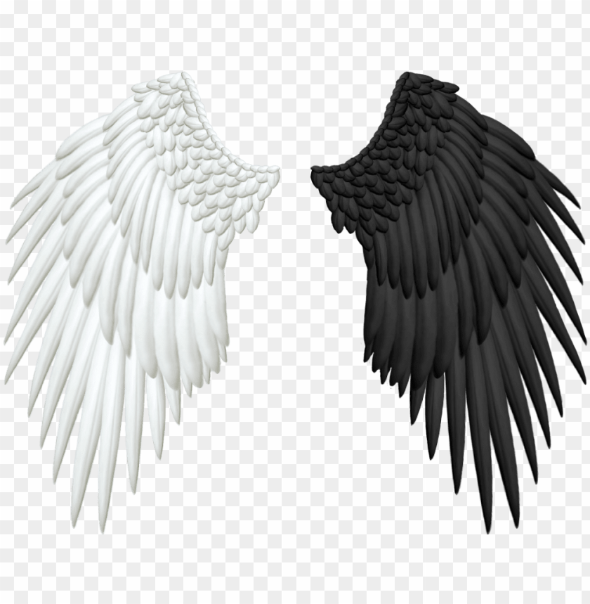 Download half wings png transparent - angel and demon wings png - Free PNG  Images | TOPpng