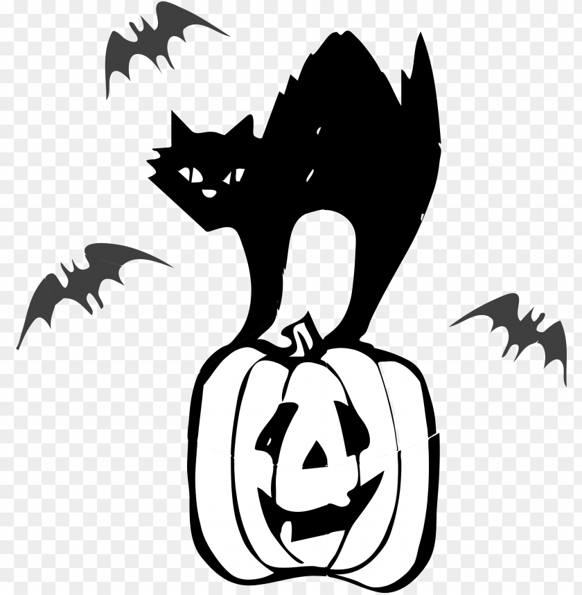 jack o lantern, jack o lantern face, halloween cat, flying cat, cat face, halloween party