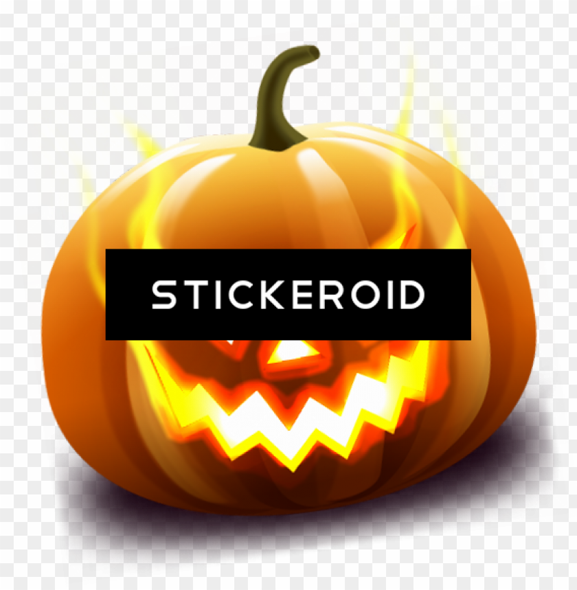 pumpkin, halloween, halloween background, pumpkin patch, fall, patch, ghost