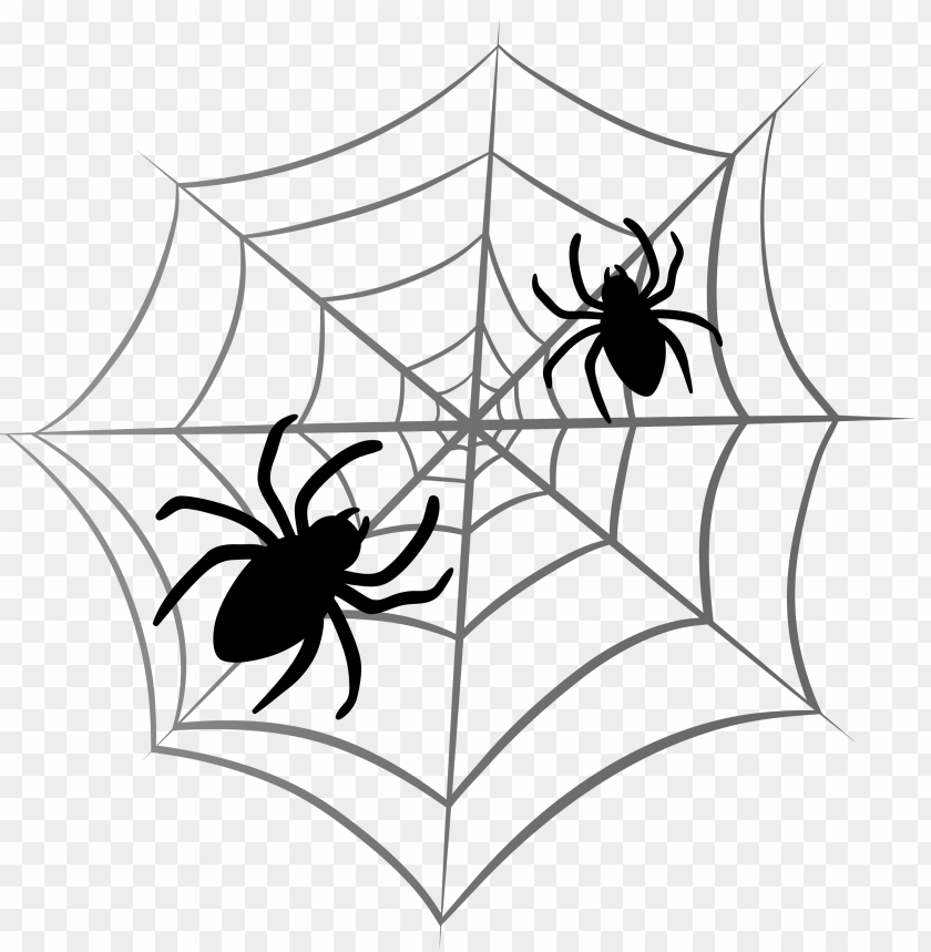 halloween spider web 2 cow clipart png photo - 35784