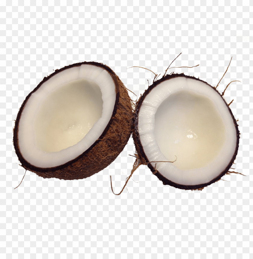 
coconut
, 
cocunuts
, 
kokosnuss
, 
cocoanut
, 
half
