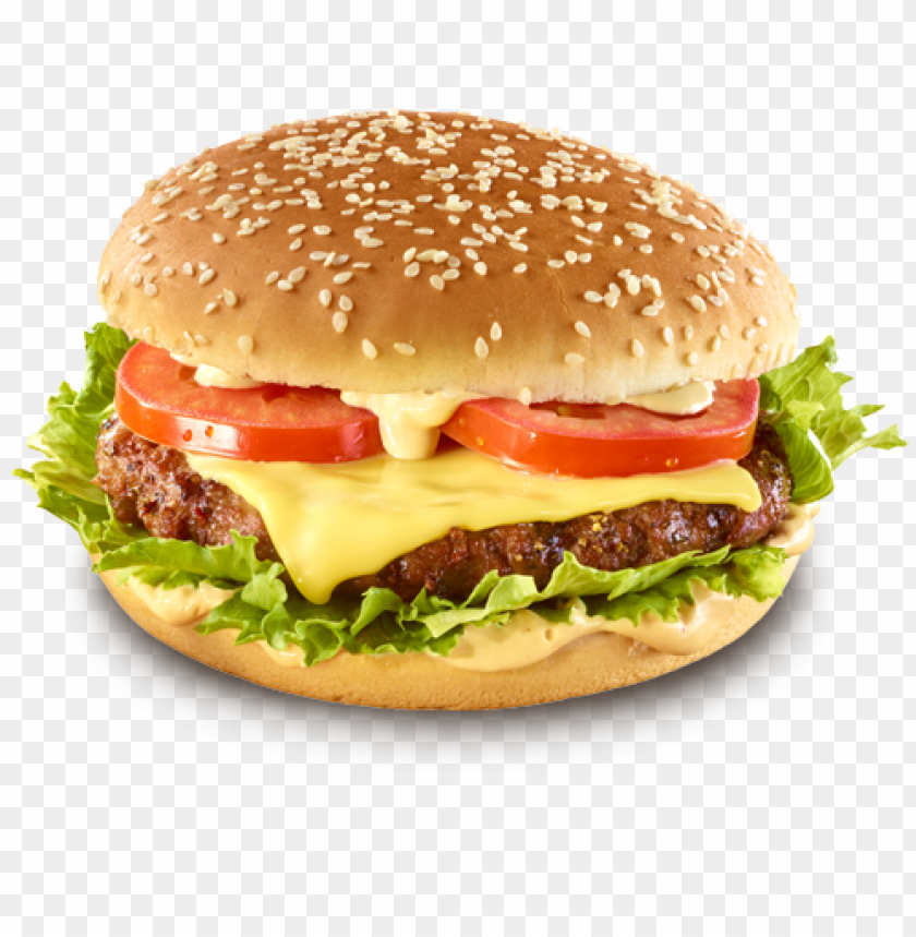 free PNG hamburger veggie PNG image with transparent background PNG images transparent