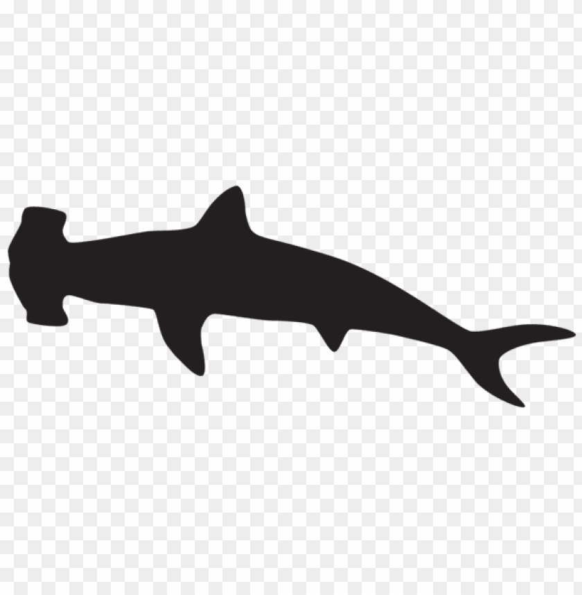 shark silhouette png