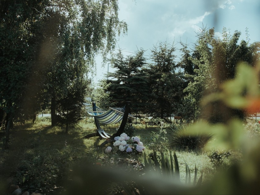 hammock, grass, vegetation, nature
