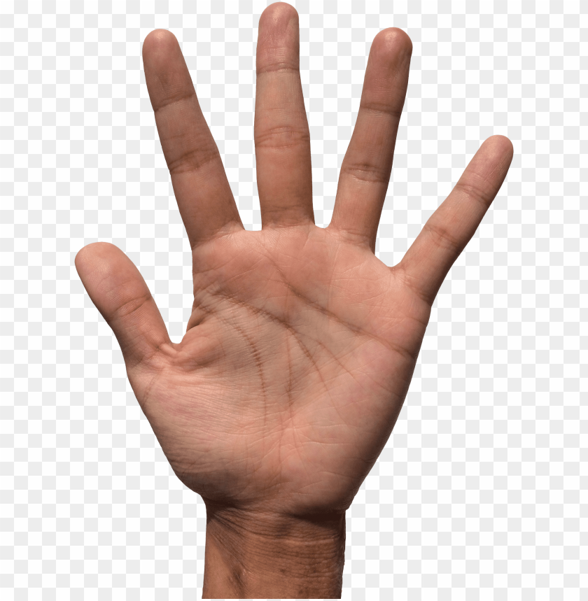 hand PNG transparent with Clear Background ID 77359