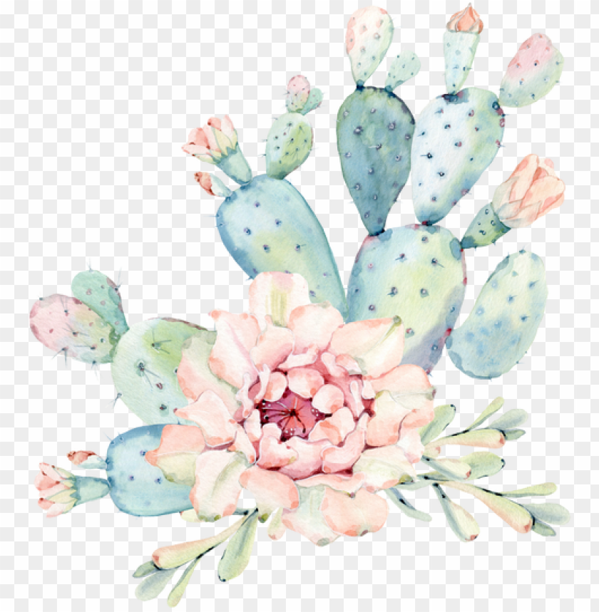 Download Hand Drawn Watercolor Saguaro Cactus Round Mosue Pad Png Image With Transparent Background Toppng