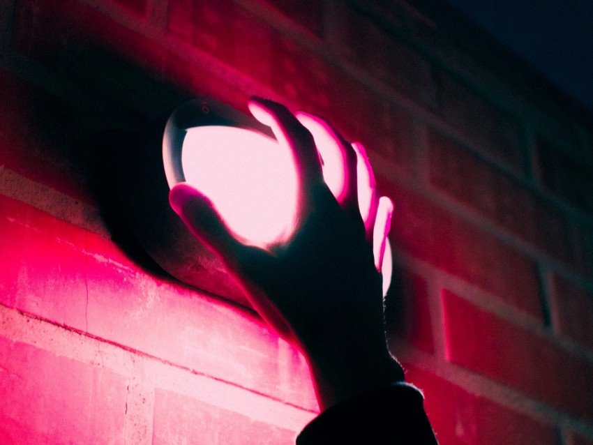hand, lantern, neon, wall, pink, light
