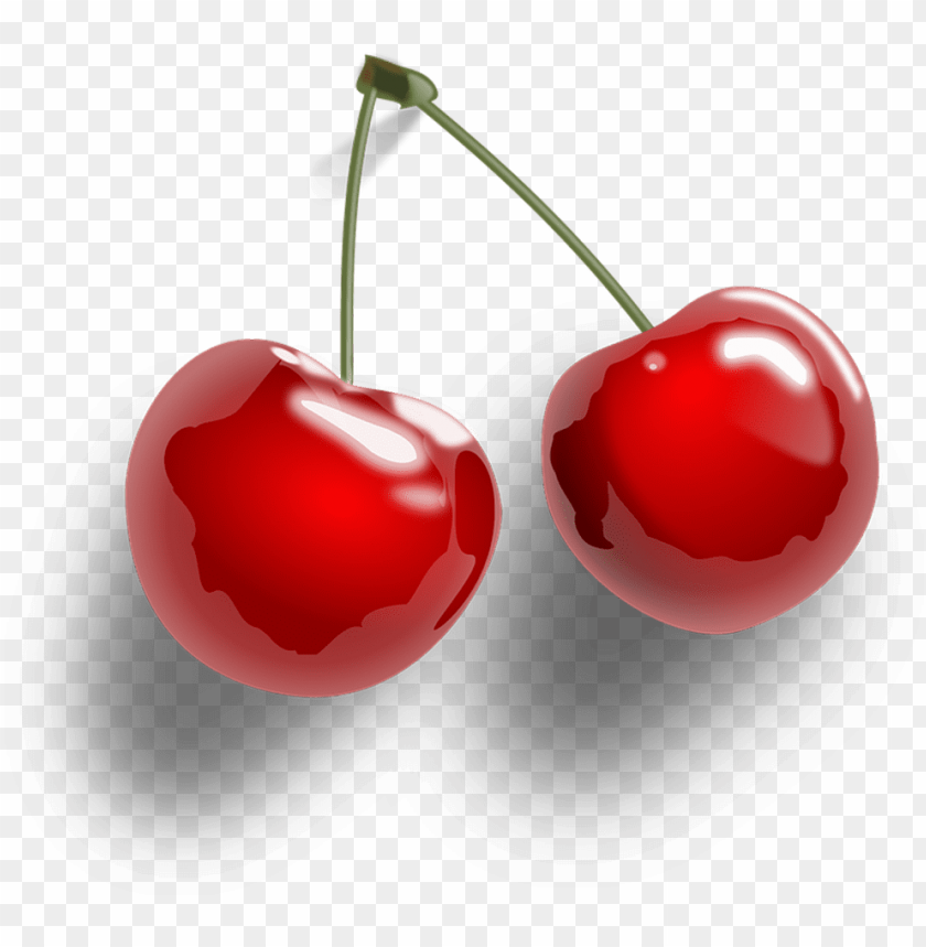 free PNG hand painted cherry vector - cherry transparent PNG image with transparent background PNG images transparent