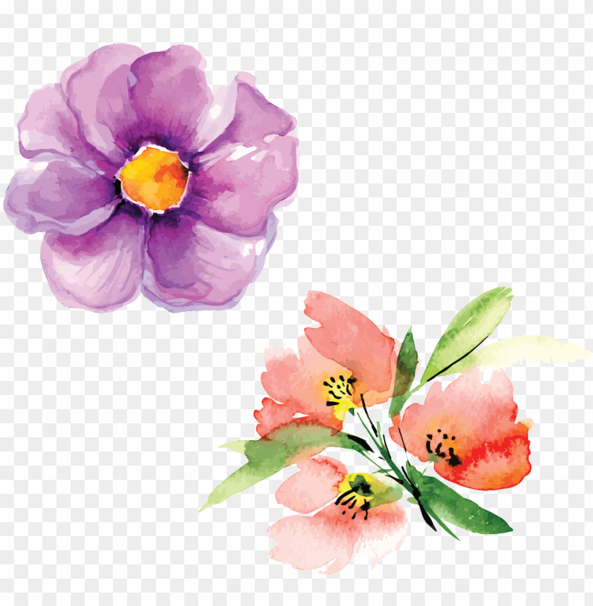 Hand Painted Flowers Hd Beautiful Png Petals Illustration - Watercolor Painti PNG Transparent With Clear Background ID 172700