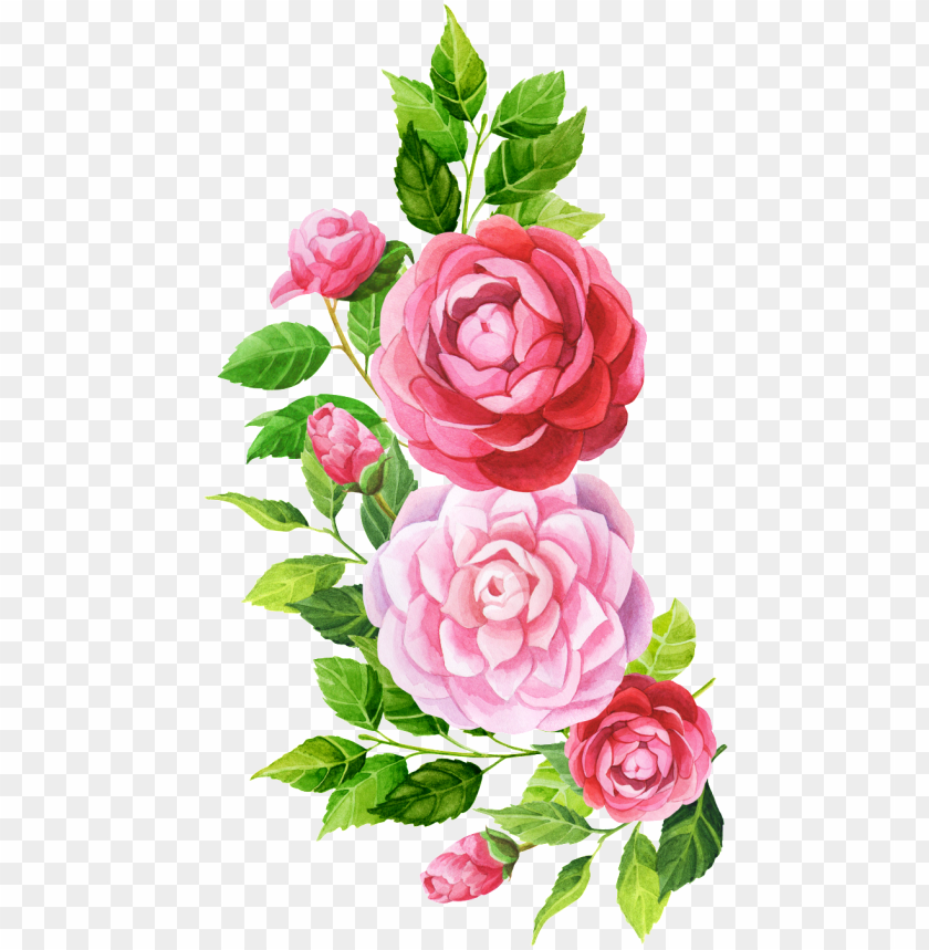 Hand Painted Pink Flower - Watercolor Painti PNG Transparent Background