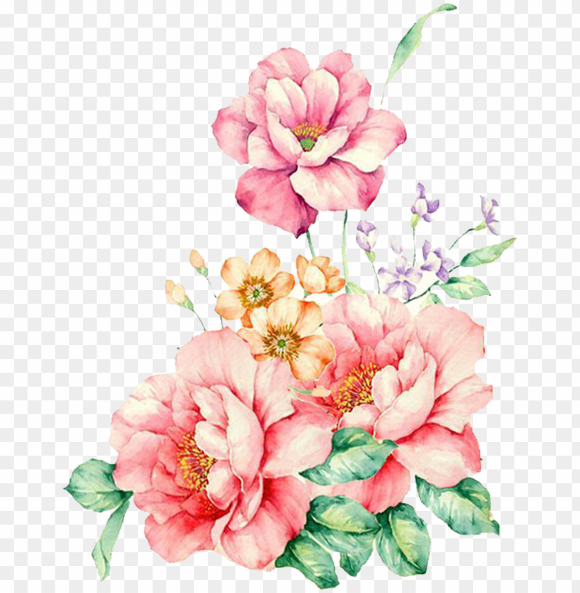 Hand-painted Vivid Colorful Flowers And Ornamental - Imgur Flower PNG Transparent With Clear Background ID 180072